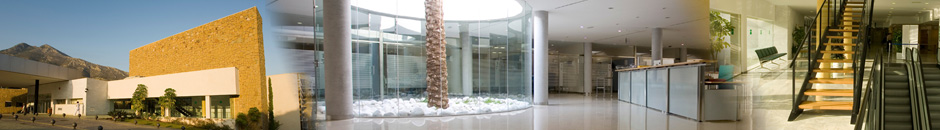 Imágen descriptiva