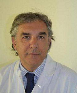 Carta de presentación del Director de Área