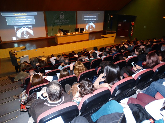 Más de 150 personas asisten a un curso de ámbito internacional dirigido a profesionales con interés en el diagnóstico prenatal
