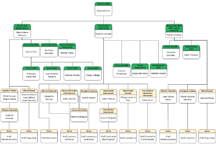 Organigrama SSGG