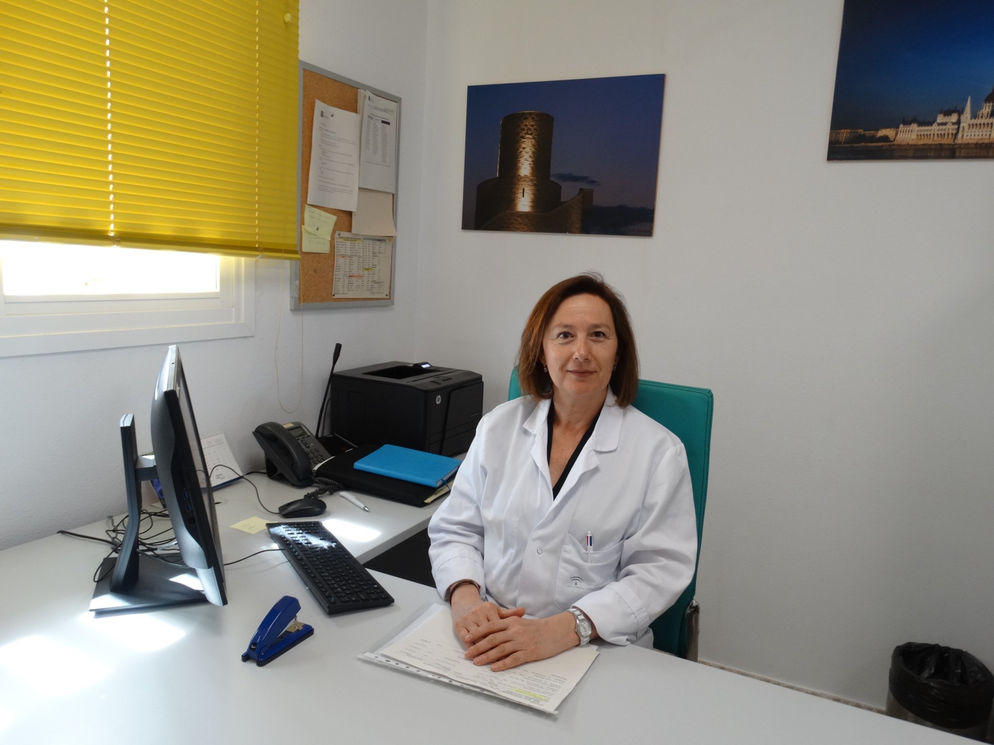 La coordinadora de la unidad de Hematología y Hemoterapia del Hospital Costa del Sol presenta la tercera edición de la Guía Nacional de Leucemia Linfática Crónica (LLC) y Linfoma Linfocítico